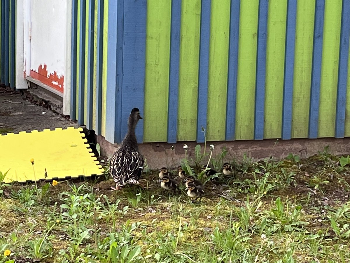 Hampton Elementary tweet media