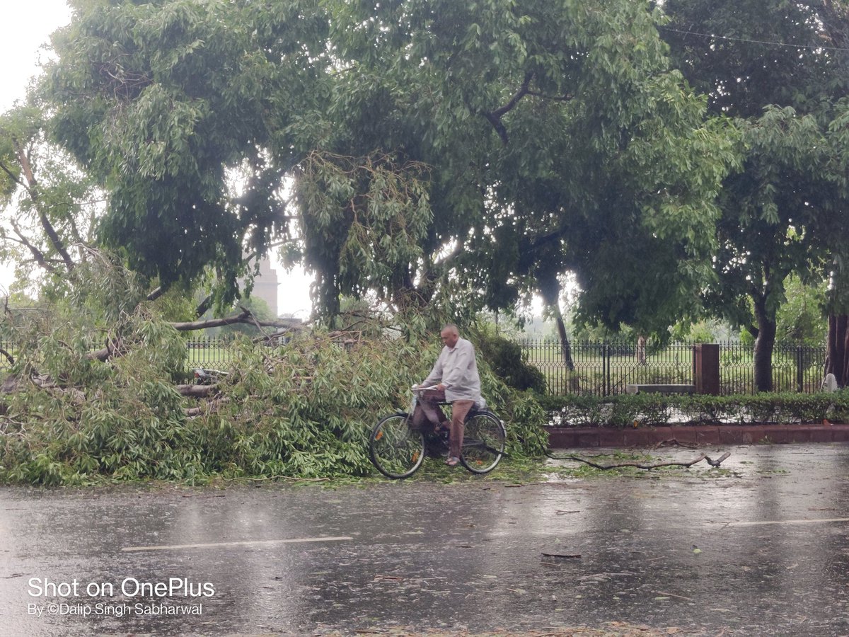 dalipsabharwal's tweet photo. Just 30 mins of rainstorm brought Delhi to a halt. Trees uprooted, routes diverted and traffic jam all across the city. But then there was a machine called 'Bicycle' that made the journey beautiful 😍.

 #DelhiRains #CycleToCommute #ChooseTheBicycle #TrafficKaSolution #climate https://t.co/Cpf6izQF7Z