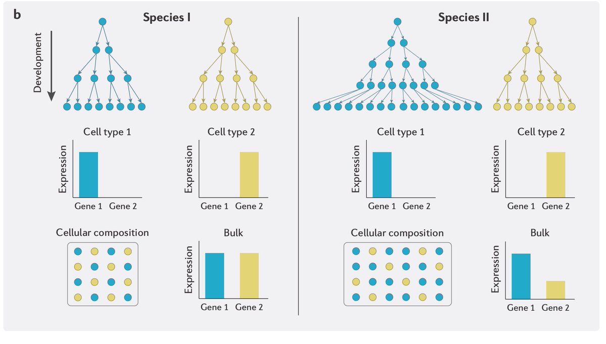 American Genetic Association (@theaga_org) on Twitter photo New post on the #AGABlog #EECGEmbarkationhttps://blog.theaga.org/ by #EECG awardee <a href="/PeterDPrice/">Peter Price</a> New post on the #AGABlog #EECGEmbarkationhttps://blog.theaga.org/ by #EECG awardee <a href="/PeterDPrice/">Peter Price</a>
