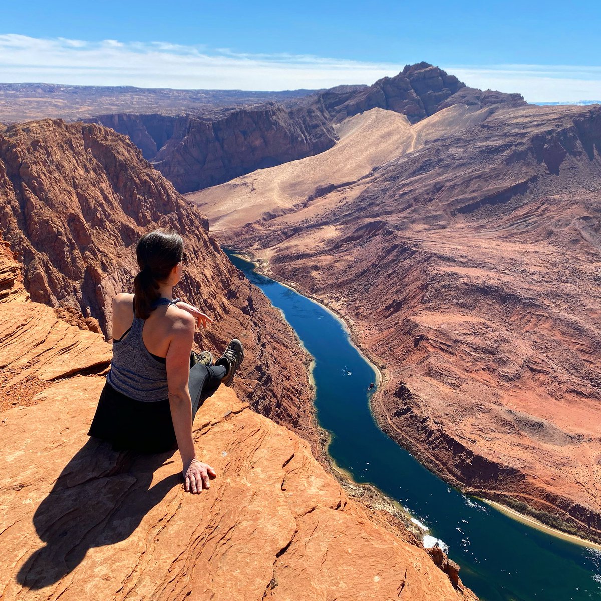 Boarding Pass tweet media