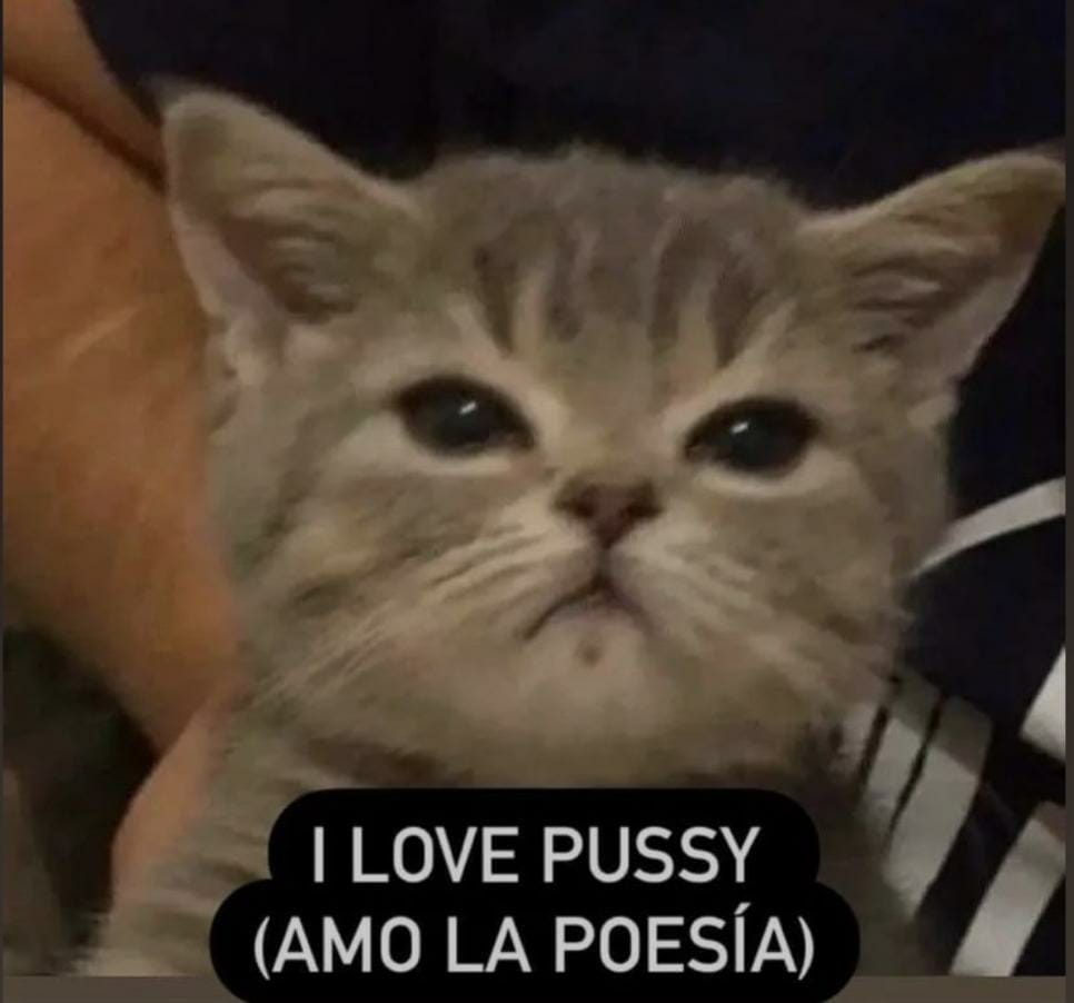 el oculista tuerto tweet media