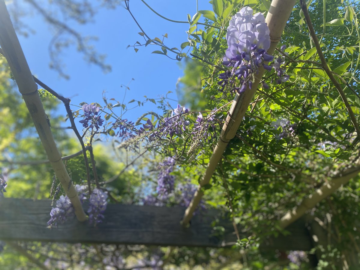 LongHouse is closed today in honor and observance of Memorial Day as we pause to reflect and remember those who made the ultimate sacrifice in service to the country. We will reopen on Wednesday, June 1. #memorialday #dayofremembrance #gardensclosed #hamptons #dayofreflection