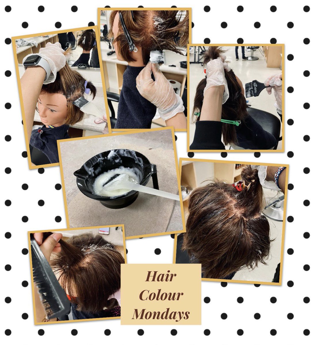 Learning proper hair colouring techniques. <a href="/montcalmhair/">Montcalm Hairstyling</a> <a href="/montcalmguides/">Montcalm Guidance</a> <a href="/TVDSB/">Thames Valley DSB</a>