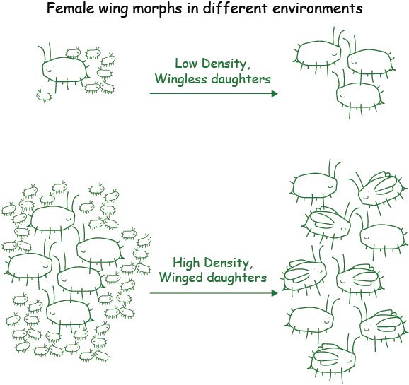 American Genetic Association tweet media