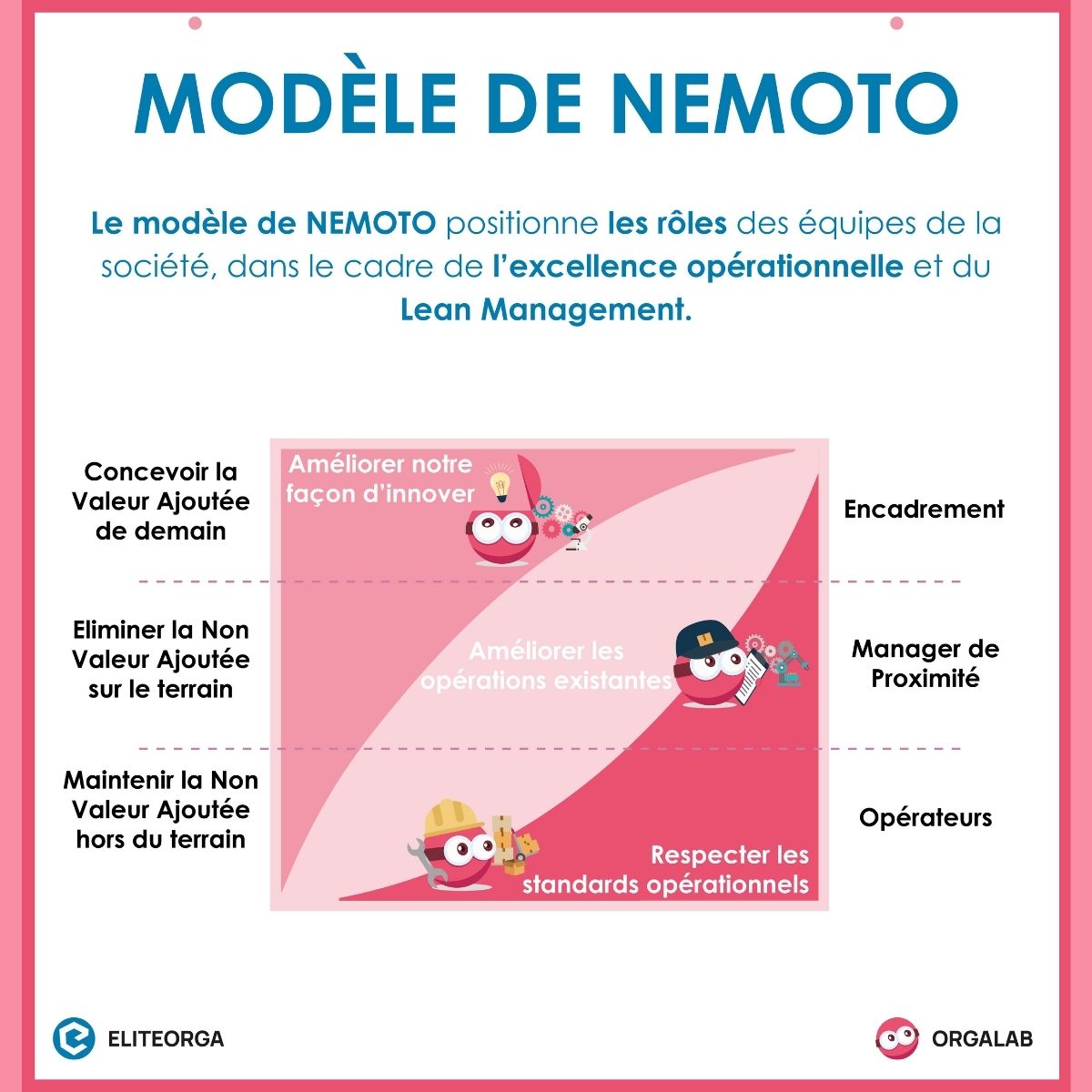 ELITEORGANISATION tweet media