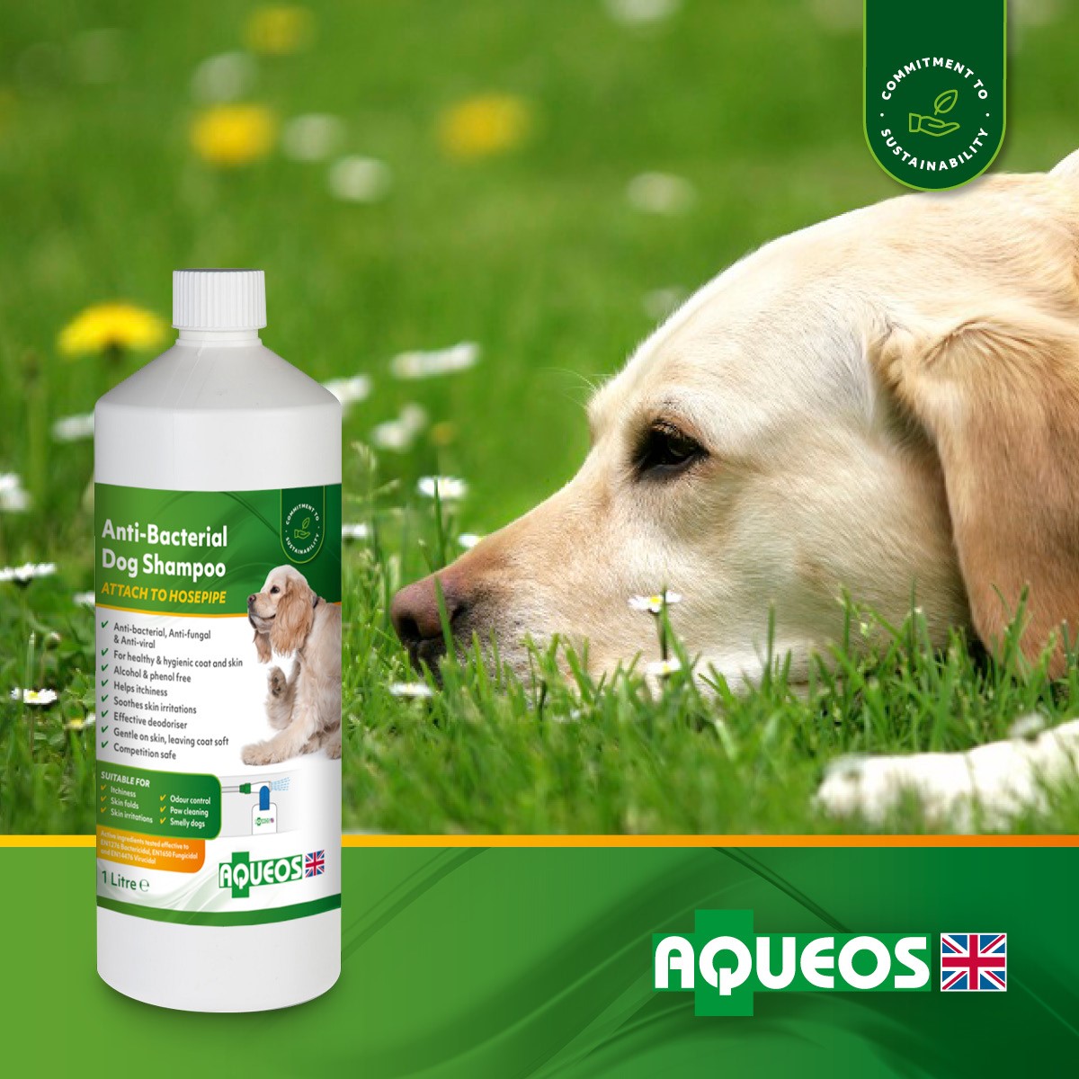 Whether your dog loves or hates water, bath time needn’t be a stressful experience! 
Read on to learn a vet’s top tips for bathing your dog.
aqueos.co.uk/blog/aqueos---…