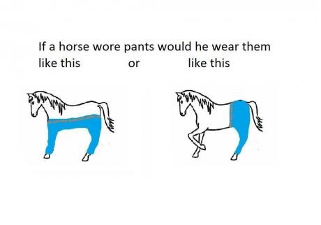 If you ever wondered if horses wore pants, how would they wear them? I  found your answer... - iFunny