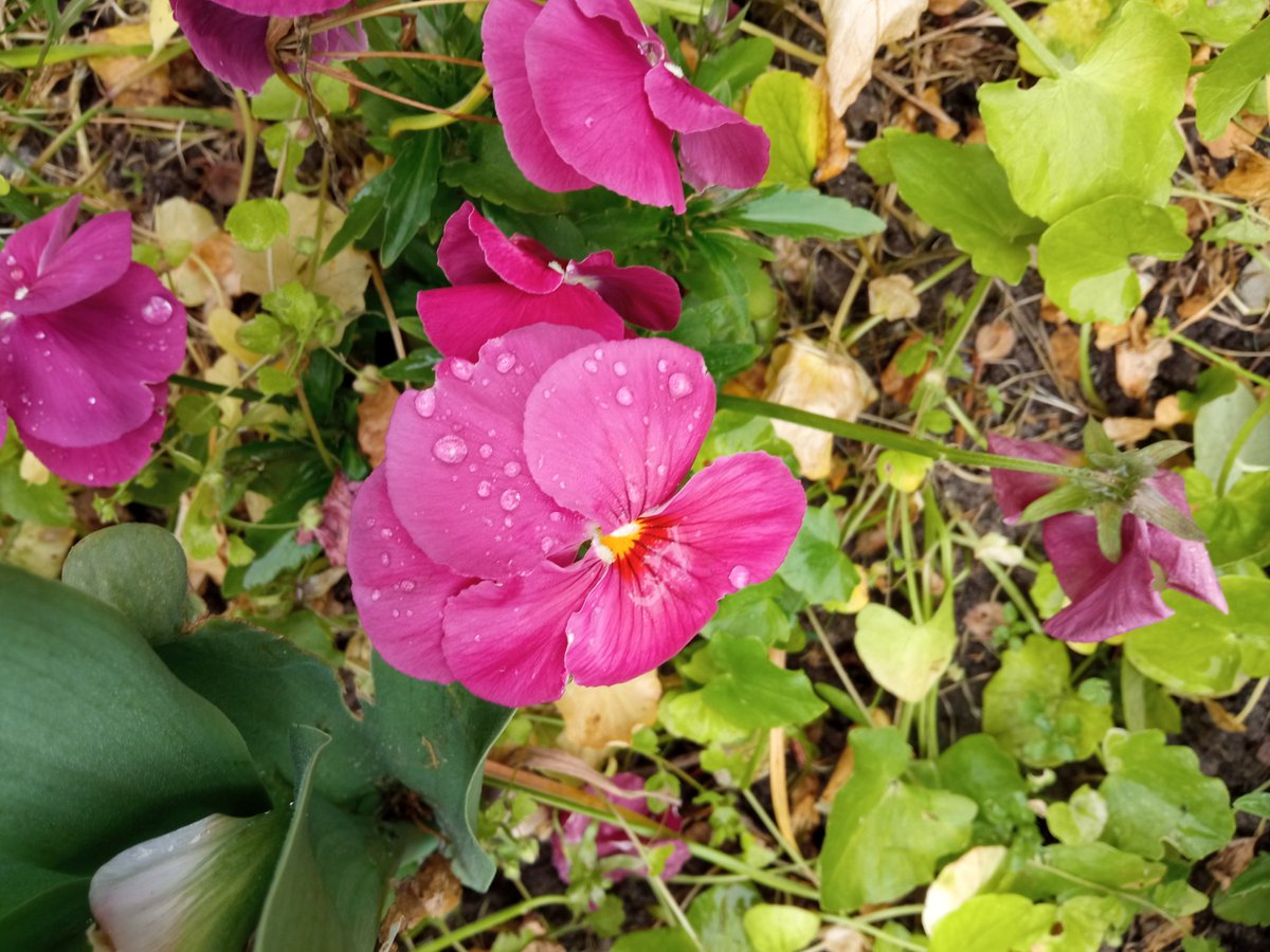 MarcinZenko's tweet image. Pozdrowionka 😇😇😇😇