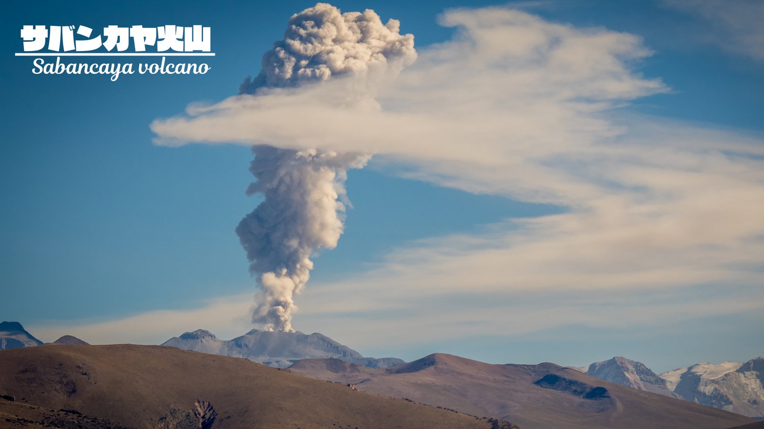 えいしゅう博士 火山情報 ペルーのサバンカヤ火山で噴火が発生しています 本日の噴煙は７３００ｍまで上がっています T Co Slucrgltkq Twitter
