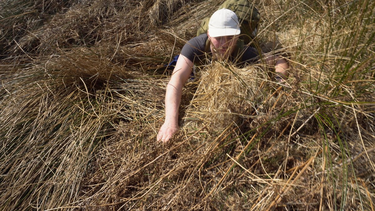 Climate Explorers tweet media