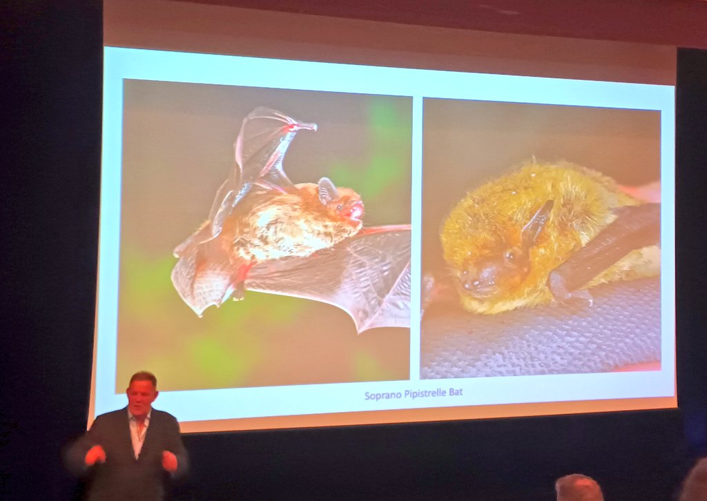 Ballina Community Clean Up tweet media