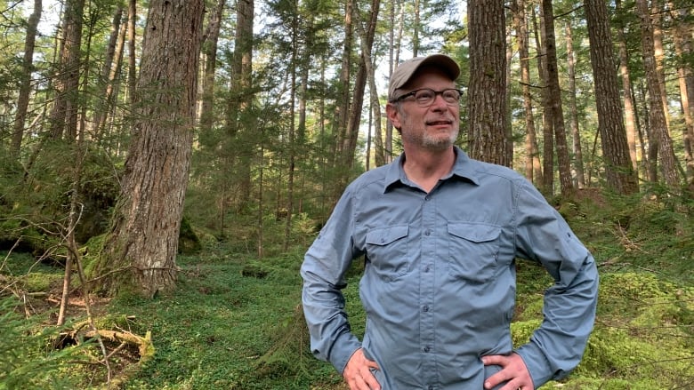 AtlanticVoice's tweet image. How did an ER physician ended up treating a tree species facing a life or death threat?

Find out in Operation Hemlock, a new documentary by @phliscbc 

cbc.ca/1.6446628