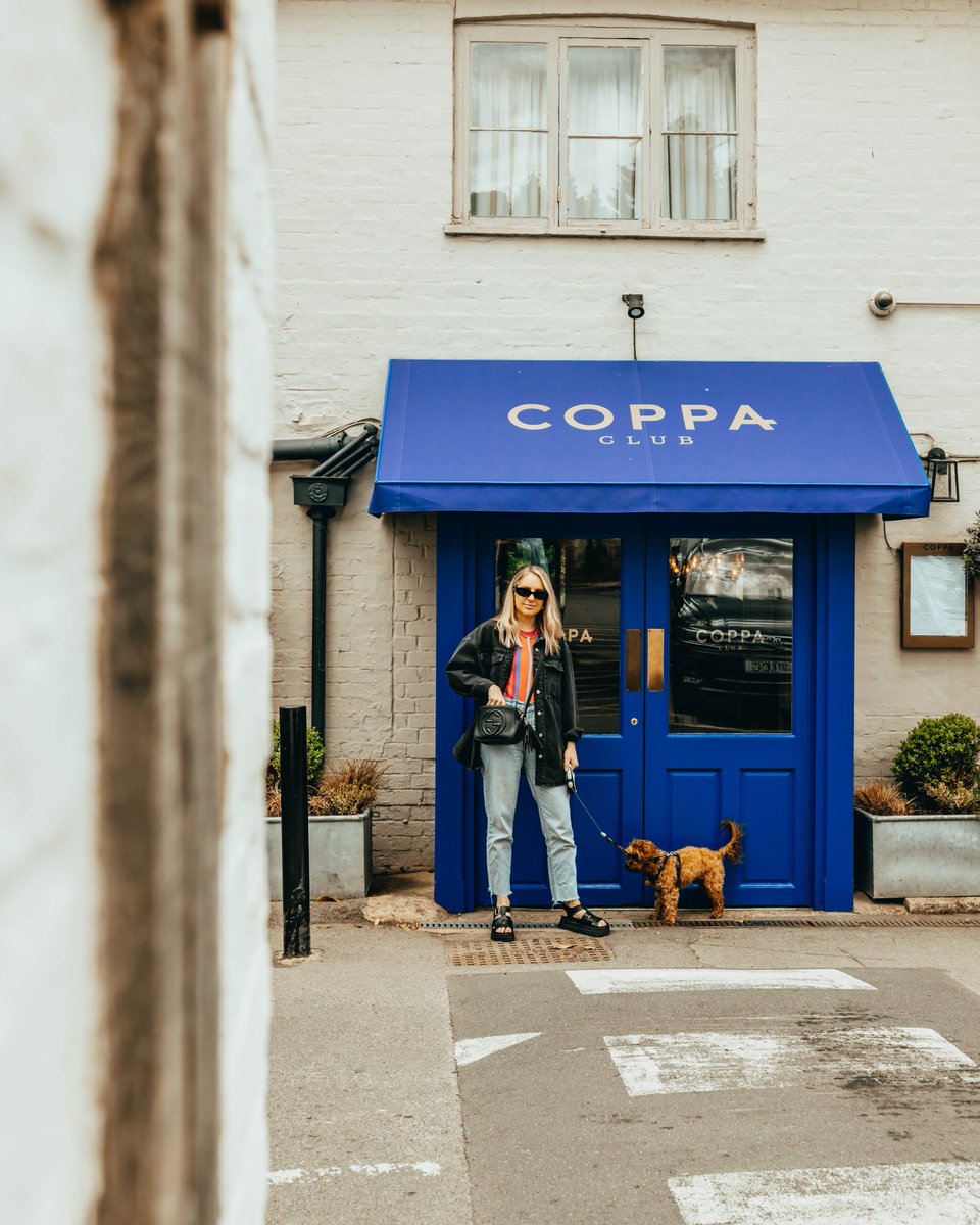 bymattandabbie tweet media