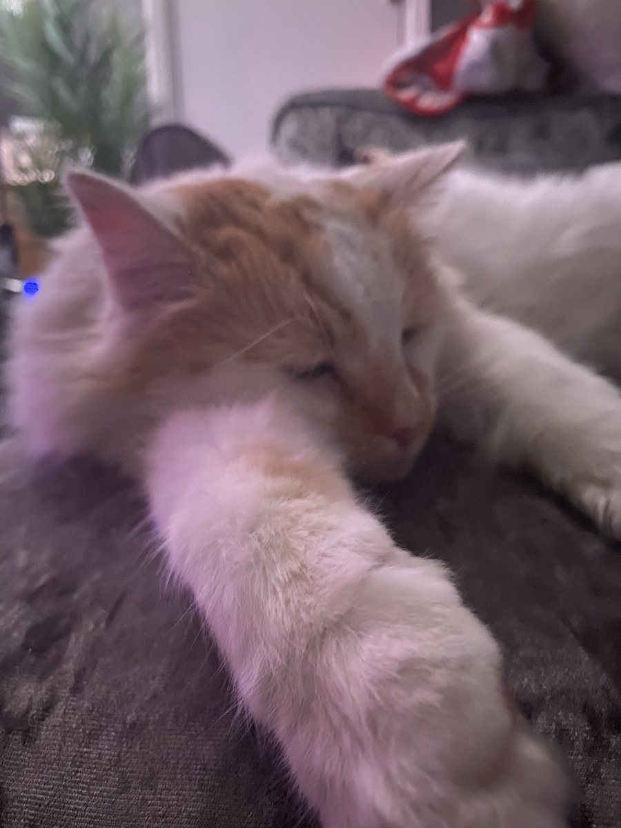 laura jones tweet media