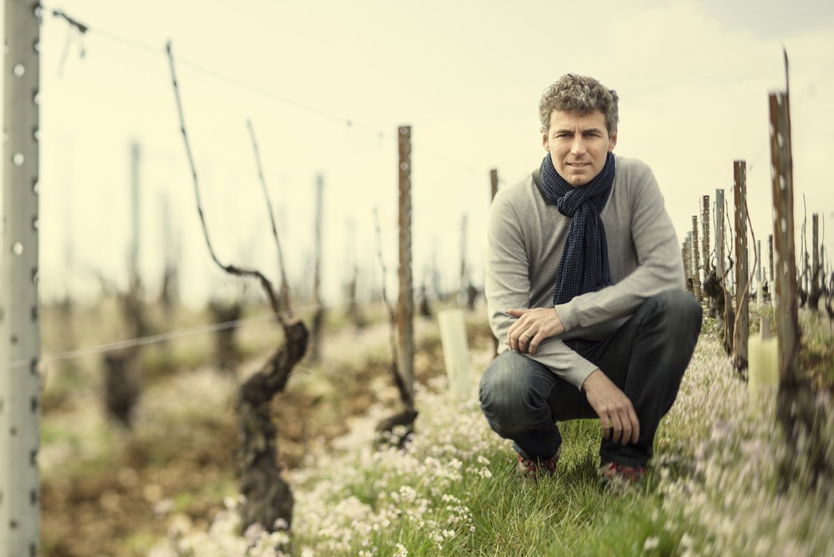 'Let's talk about #Chablis isn't #Meursault, the arguments against oak, past, present and future'. Join Guillaume Michel of Domaine #louismicheletfils who will outline his family philosophy about how they maintain the purity of Chablis. Friday 3 June, 2 pm BST. Guests welcome.