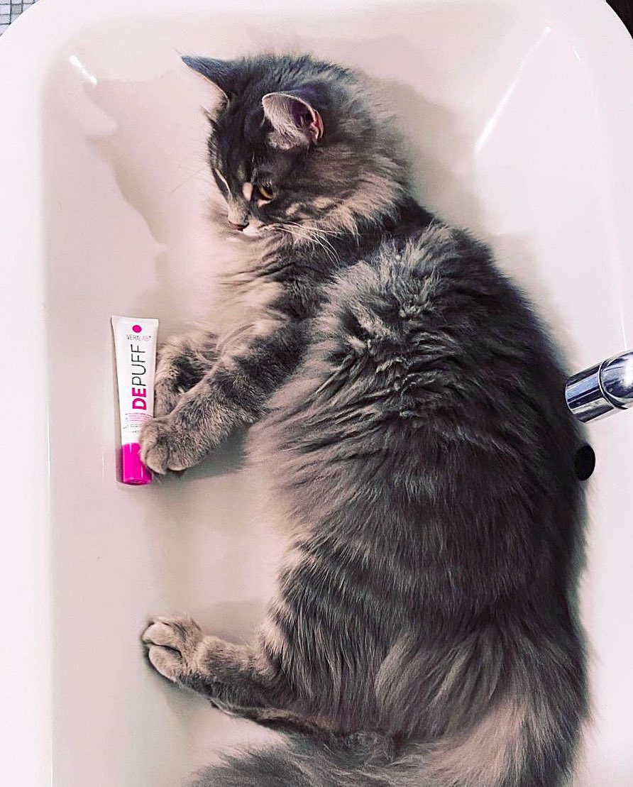 Veralab_cinica's tweet photo. ๐ต Oh Oh Oh occhi di gatto
Ecco ha colpito lร , di soppiatto
Fuggendo poi con un agile scatto ๐ต
DePuff รจ il prodotto ideale per un contorno occhi felino, fresco e riposato โจ
Repost della nostra fagiana @_annabollinger_ ๐
#veralab #skincare #cosmetica #depuff #contornoocchi https://t.co/wGHGtUpeky