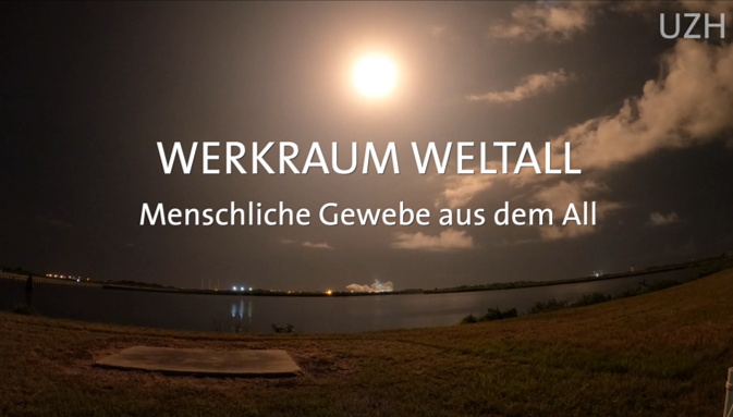 UZHspacehub's tweet photo. Neues Video online! Wie können Mini-Organe aus dem All der Medikamentenentwicklung dienen und den Bedarf an Tierversuchen verringern? Erfahre mehr über Forschung am #UZHspacehub, triff uns auf der #Innovatica, 11.6., Innovationspark Dübendorf. @innopark_zh https://t.co/qUGknAn80r https://t.co/3ZiRZsk1jC