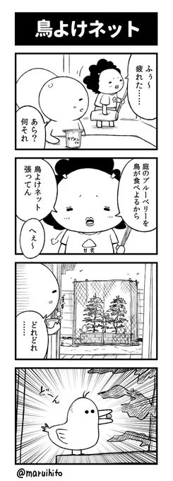 【再掲】ふりかえり四コマ漫画『鳥よけネット』
#丸い人の漫画 #四コマ漫画 #漫画 #漫画が読めるハッシュタグ #イラスト 