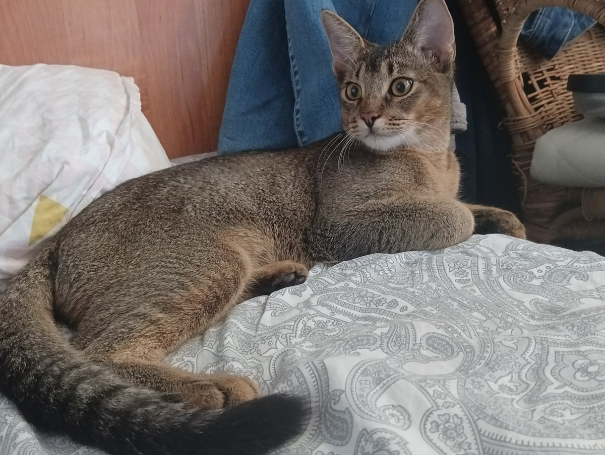 Наталья tweet media