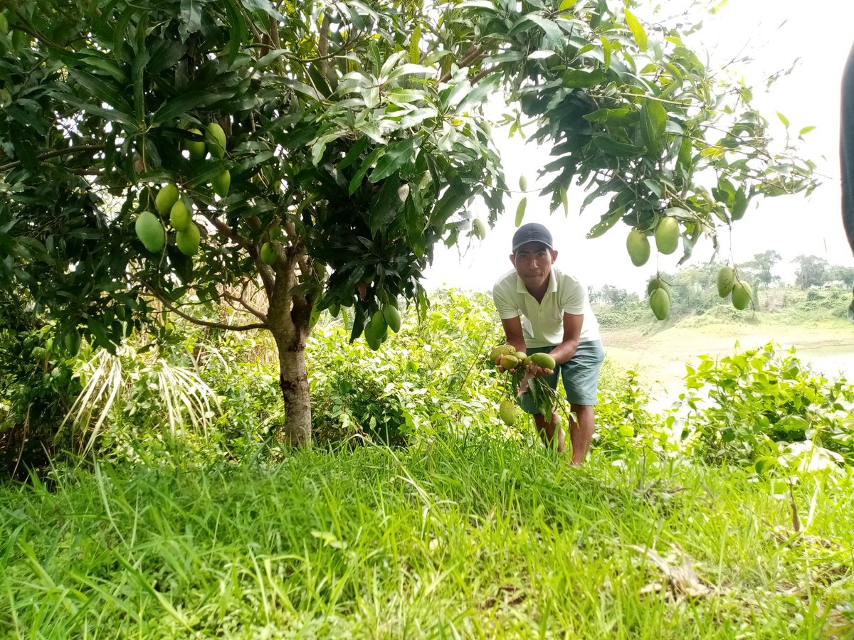 DarsanChakma's tweet photo. https://t.co/bXVGRZrgeY