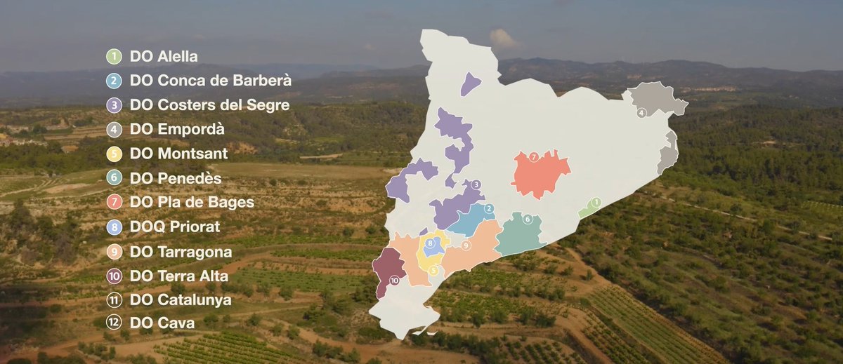 Pro Jahr werden in Katalonien circa 165 Millionen Flaschen Weißwein, 65 Mio. Rotwein und 245 Mio. Cava hergestellt. 🍷🍾 Für die Qualität bürgen zwölf Herkunftsbezeichnungen (kat. „Denominació d’Origen“, kurz D.O.). Am 27.6. in Zürich➡️Frühsommer-Tasting!! bit.ly/Zürich_2022