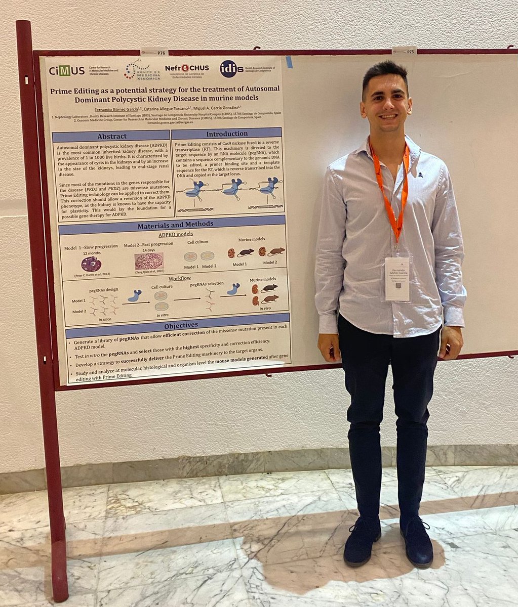 NefroChus's tweet photo. Hoy compartimos con vosotros el póster presentado por @F_GomezGarcia en el #SETGYC 11th Biennial Congress. "Prime Editing as a potential strategy for the treatment of Autosomal Dominant Polycystic Kidney Disease in murine models". ¡Enhorabuena Fernando!👏
@SETGyC https://t.co/5Onte7EDFd