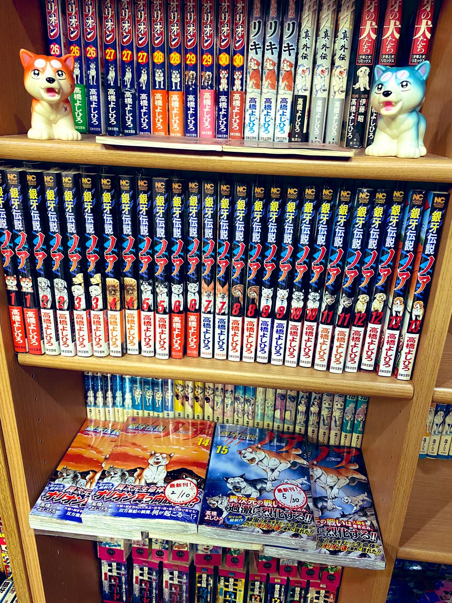 恒例の？ 銀牙伝説15巻だけ並べてみました♪ 読む用と永久保存用2冊