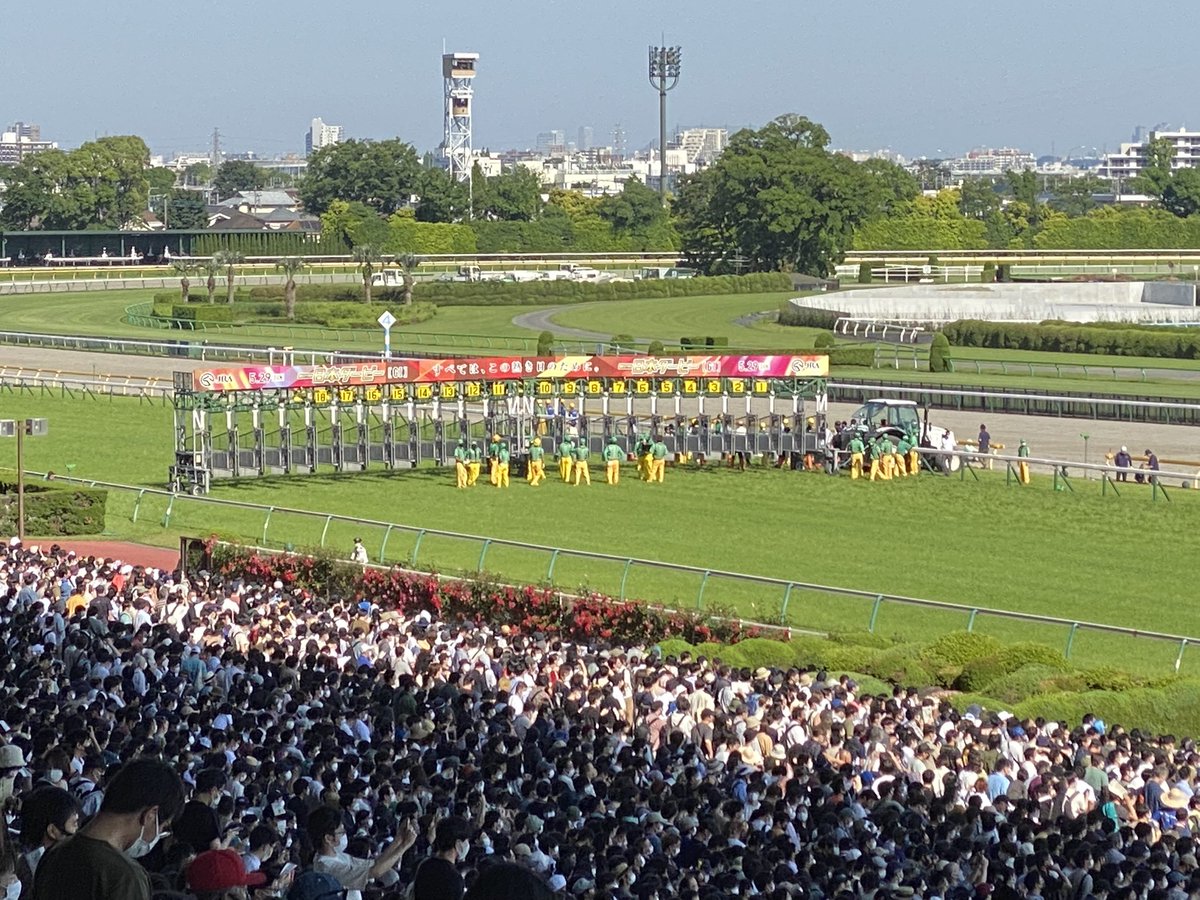 Yoshirinbomber's tweet photo. 昨日最高すぎた https://t.co/xyhSzSfniC