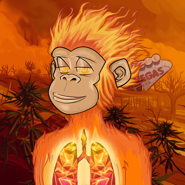SamuraiPizzaApe.sol🗡🍕🦍 tweet media