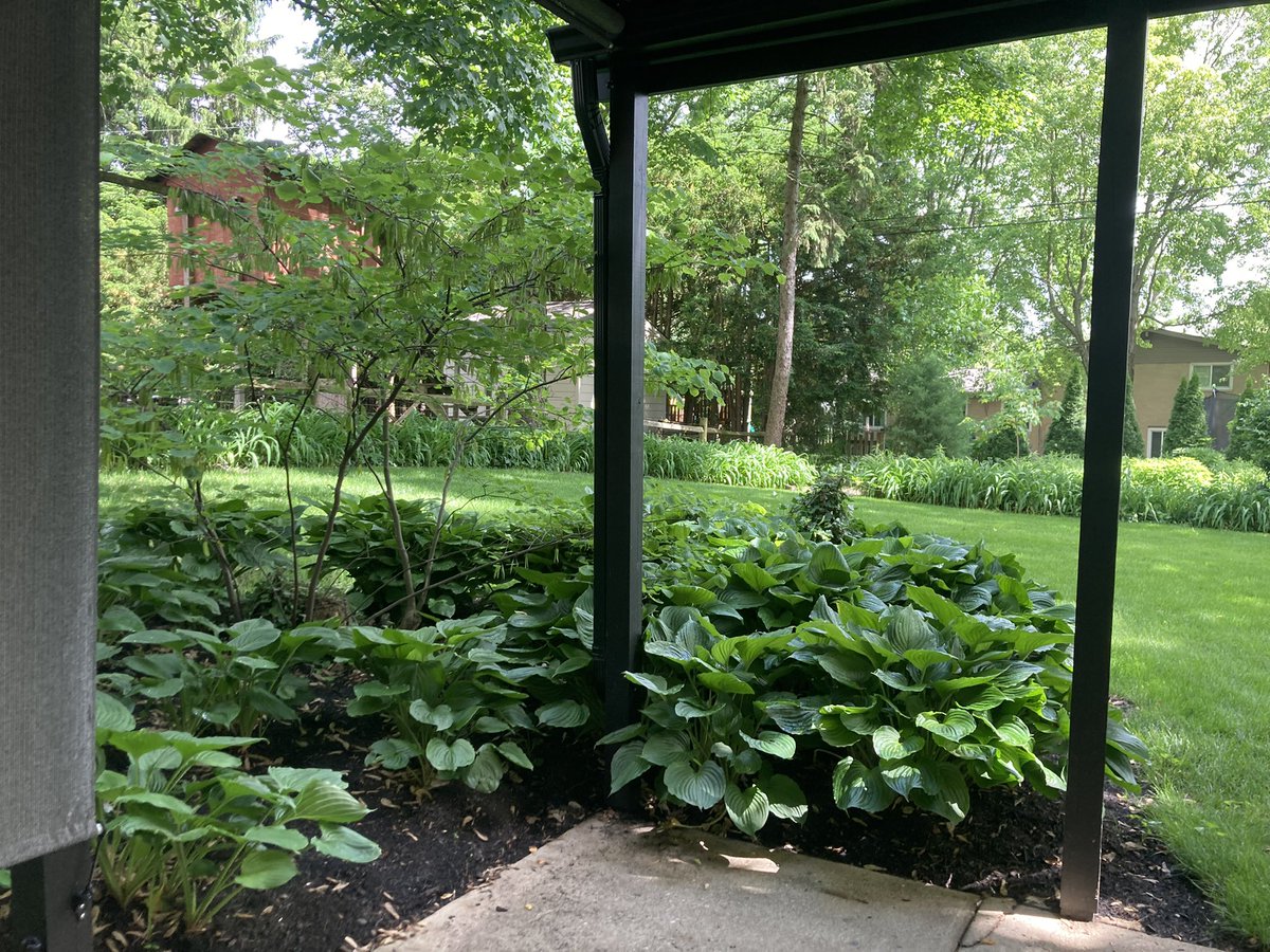 MungoGusNigelJJ's tweet photo. Our belongings get delivered today, gearing up for a hectic day! The bottom patio is so serene, just what I needed before the chaos begins. ๐ #MovingInDay #CoffeeAndCalmBeforeTheStorm https://t.co/9OdRxmbX1w