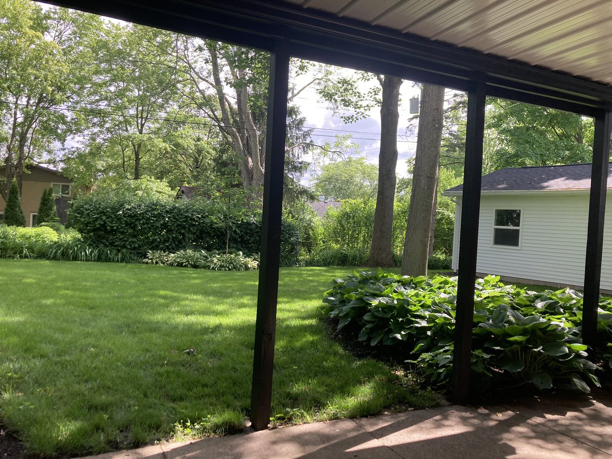 MungoGusNigelJJ's tweet photo. Our belongings get delivered today, gearing up for a hectic day! The bottom patio is so serene, just what I needed before the chaos begins. ๐ #MovingInDay #CoffeeAndCalmBeforeTheStorm https://t.co/9OdRxmbX1w