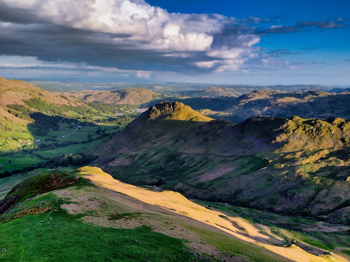 Al Powell tweet media