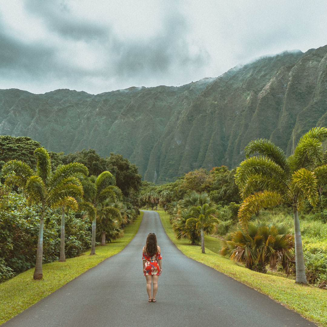 spicytrip's tweet photo. Ready for a spontaneous summer?​☀️​🍹​

The adventure of your life awaits you in Hawaii!​🏝️ https://t.co/ADdhFaEbzN