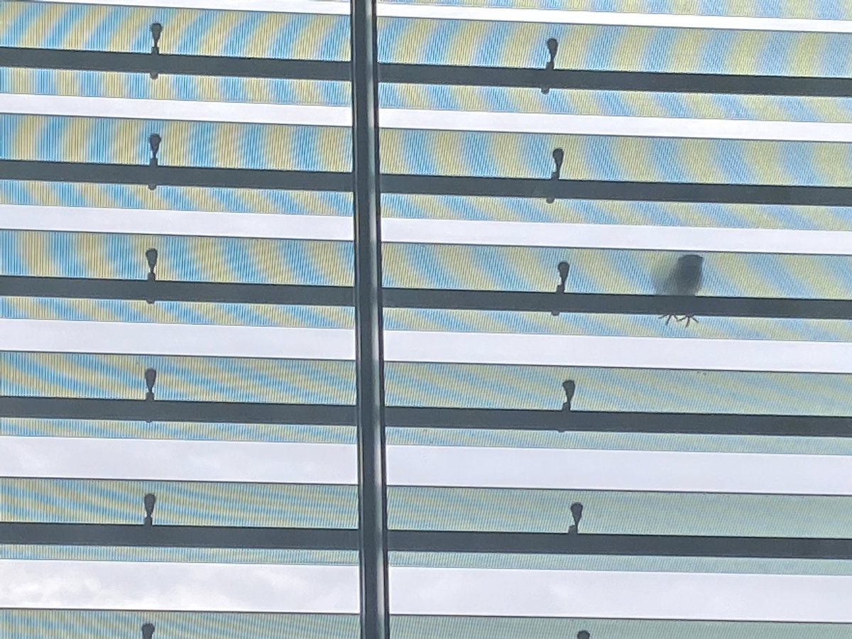 bjarkeLA's tweet image. @PauloBlikstein talks about the narratives and discourse of EdTech and suddenly a pigeon appears. A true @hackeducation / @audreywatters moment #fabmake2022