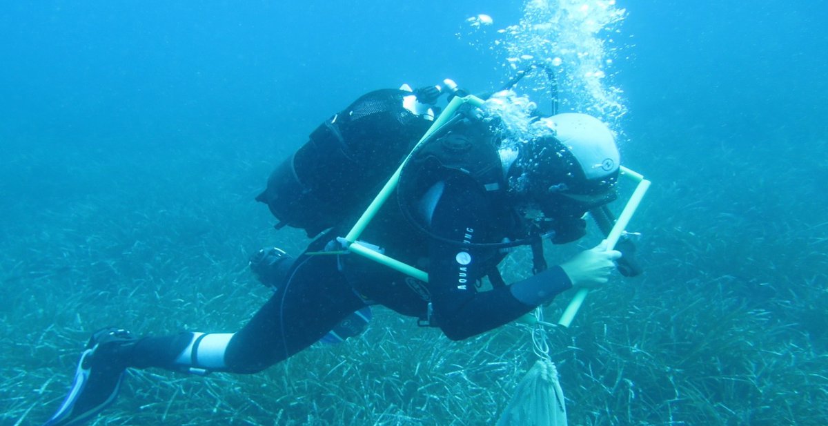 🌊 Vieni a scoprire il progetto <a href="/InterregSaspas/">Interreg_SASPAS</a>, il cui obiettivo è proteggere la biodiversità dell’ecosistema del Mar Adriatico, attraverso ancoraggi ecologici e la protezione delle fanerogame marine.

🗓 #30maggio ore 14:00

#EUGreenWeek #CorilaVenice

👉🏻bit.ly/38OwFpK