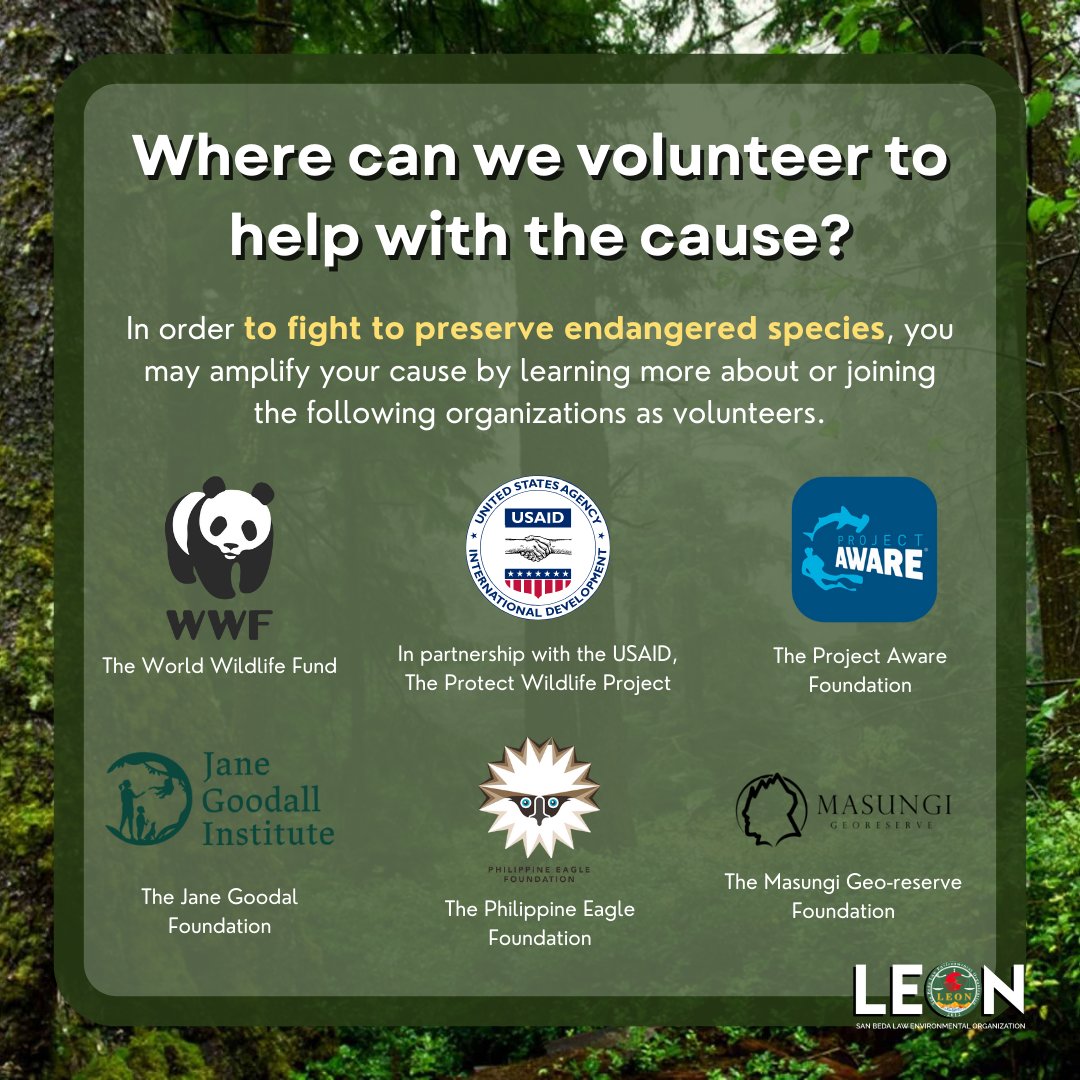 sbumendiolaLEON's tweet photo. ACT BEFORE IT VANISHES FOREVER‼️

#endangeredspecies
#protectendangeredspecies
#ActNow
#volunteer
#wwf #TogetherWeCan #Connect2Earth
 #VoiceForThePlanet https://t.co/lsP85G78os