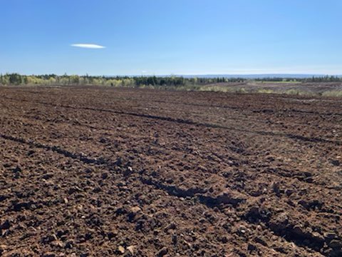 bigfallsag's tweet photo. Beautiful day and some beautiful newly cleared land on the farm 🌅🌾🚜 @FFA_GovNL @NLFarms https://t.co/Audj0FbawP