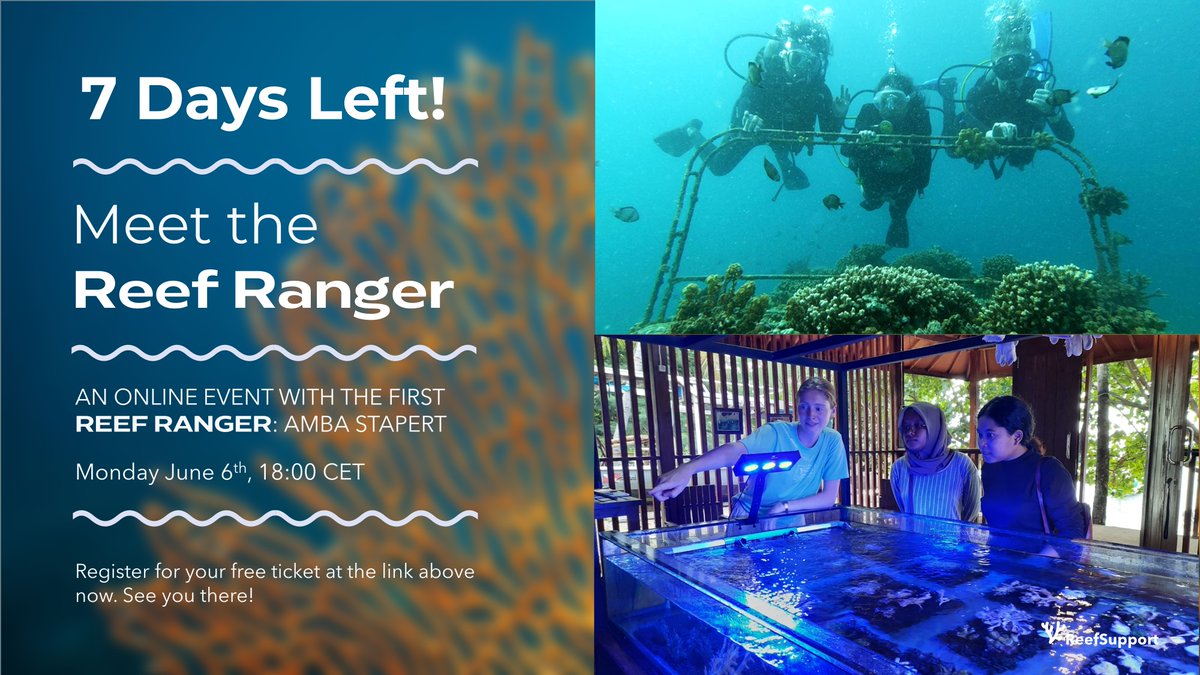 ESABICNoordwijk's tweet image. Our incubatee @SupportReef is setting up a programme to train the next generation of marine conservationists, called Reef Rangers. 🐠

Check their online meetup on Monday, June 6, to learn more:

➡️ eventbrite.co.uk/e/meet-the-ree…