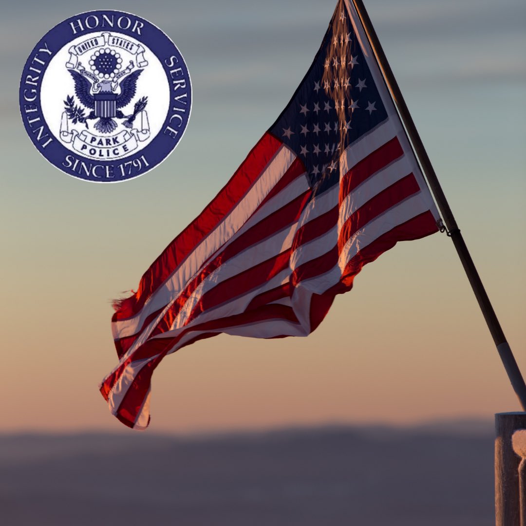 USPPNEWS tweet media