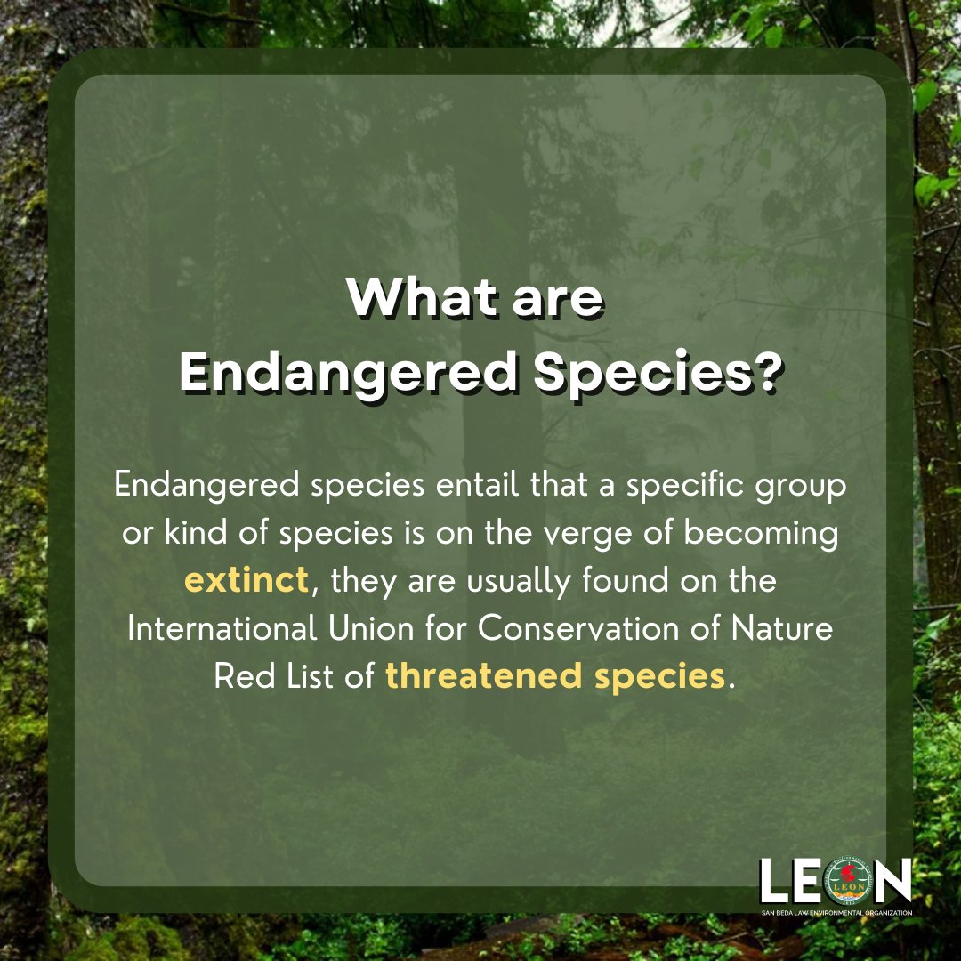 sbumendiolaLEON's tweet photo. If there is one gift we could pass on to future generations, it would be the preservation of endangered species. Together let us make a stand through our voices and actions in playing a part in the protection of our endangered species. 
Love them or lose them! 🌱👀 https://t.co/iUOWDxwDuR
