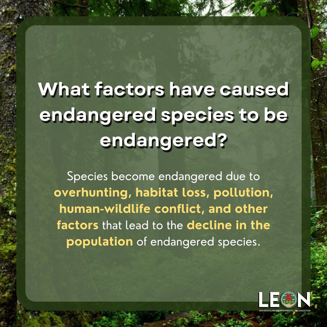 sbumendiolaLEON's tweet photo. If there is one gift we could pass on to future generations, it would be the preservation of endangered species. Together let us make a stand through our voices and actions in playing a part in the protection of our endangered species. 
Love them or lose them! 🌱👀 https://t.co/iUOWDxwDuR