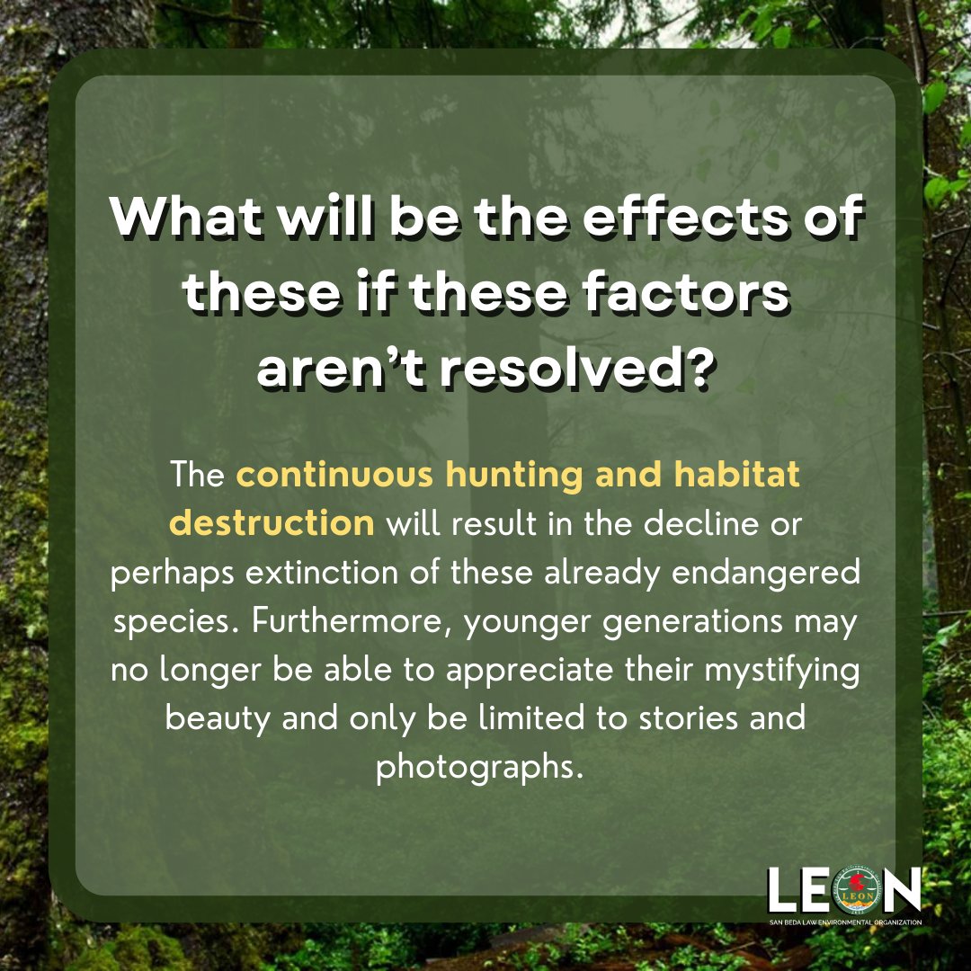 sbumendiolaLEON's tweet photo. If there is one gift we could pass on to future generations, it would be the preservation of endangered species. Together let us make a stand through our voices and actions in playing a part in the protection of our endangered species. 
Love them or lose them! 🌱👀 https://t.co/iUOWDxwDuR