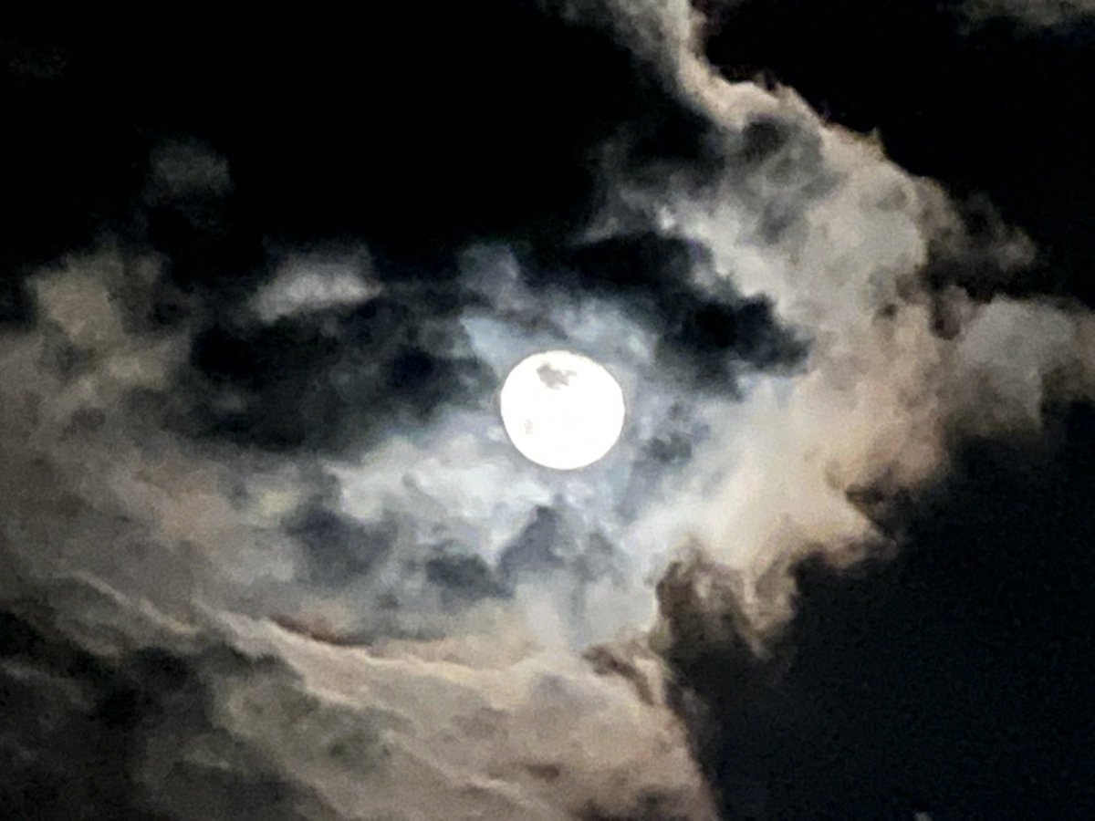 GuzmanSDaniel's tweet photo. Cuando te toque pasar por el desierto de la vida, debes recordar que Dios permitió que estés ahí para enseñarte algo, No te quejes ante la adversidad. Permanece fiel y en unidad. Confía, y Él suplirá todo lo que te falte. #rpsp #Num20 https://t.co/KE2gdf1v41