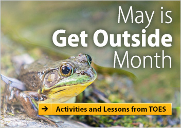 TOES_TDSB's tweet photo. As we move into the final week of May, don't forget to join the 1000s of people who have accessed this year's #GetOutsideMonth lessons at https://t.co/dv8eyjhgdI.  This year we focused on taking the new Math Curriculum outside.  Access the archived lessons on the site as well! https://t.co/s49ns5czF1