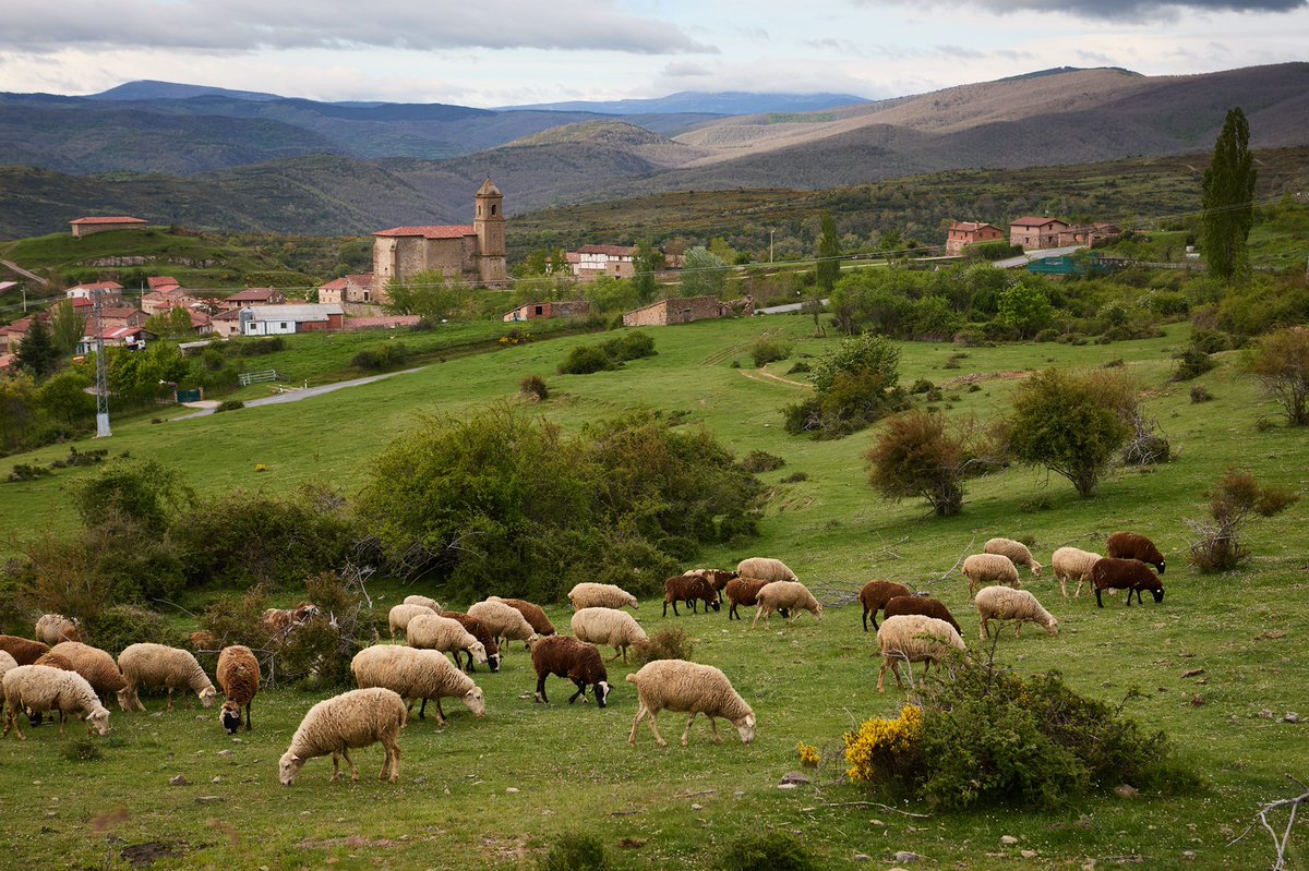 lariojaturismo's tweet photo. ¿Te apetece un #planrural?
¿Un #plandetradiciones?
¿Un #plangastronómico?
Disfruta de los mejores planes en entornos rurales donde la vida se disfruta las #24horas del día.
#ReservaLaRioja #temerecesEspaña #temerecesLaRioja #viajarseguro #travelsafe #YouDeserveSpain https://t.co/OCKchKZIcv