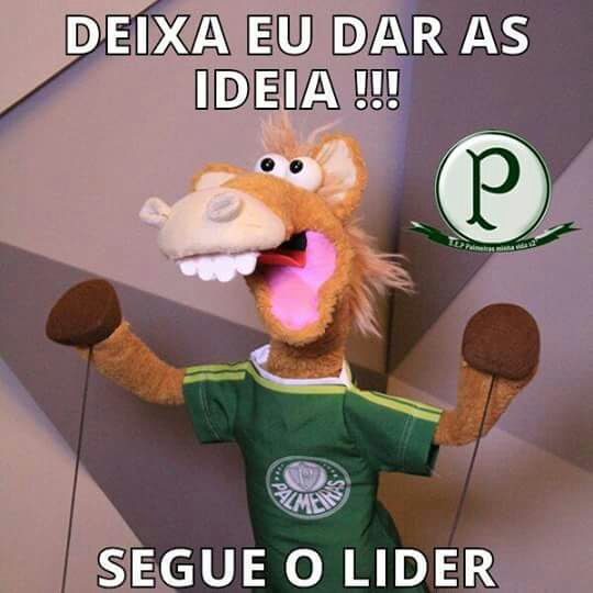 Fernando Cascardi on Twitter: Fernando Cascardi on Twitter: