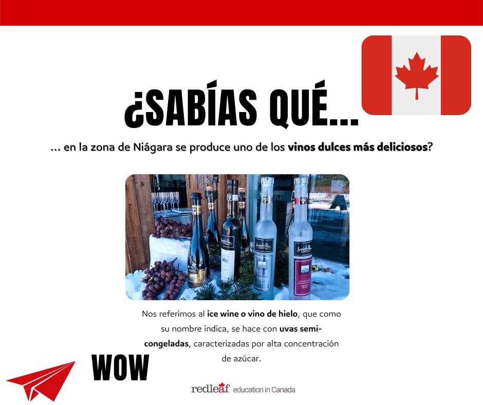 Red_Leaf_Spain's tweet photo. #RLFunFacts every #lunes 👏🏼
#RedLeaf #Canada https://t.co/RXcmpjMAwE