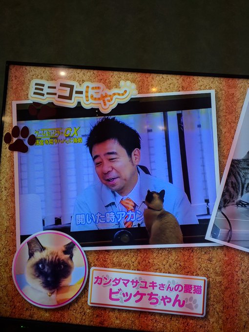 A List Of Tweets Where たかな Was Sent As Gccx 1 Whotwi Graphical Twitter Analysis