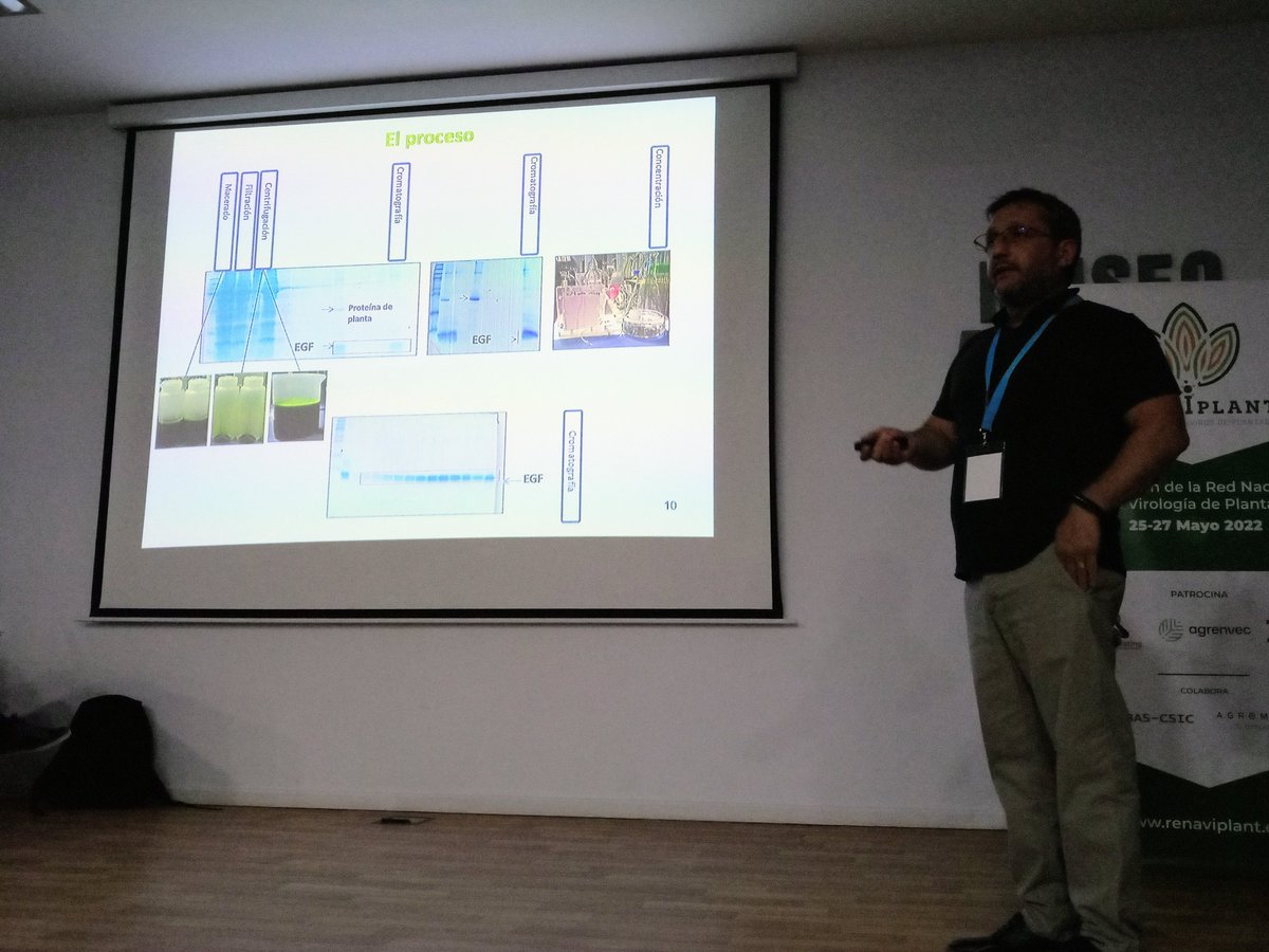 renaviplant's tweet photo. El broche para esta sesión #biotecnologia 
¿Quién mejor que una empresa aplicando tecnología con virus de plantas?
Pablo Lunello, responsable de I+D de @agrenvec, quién además patrocina #RenaVIplant3, nos habló de esta #biotecnología y sus lineas de trabajo
#MolecularPharming https://t.co/xLrjMoaSP2