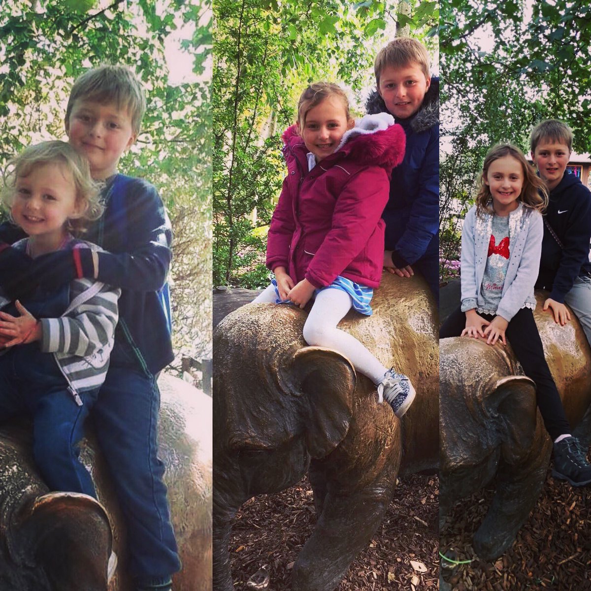 SarahMusgrave's tweet photo. @chesterzoo We come to Chester Zoo every year, and each time insist on taking a photo of the kids sat on the bronze elephant! It’s great way to see how much they’re grown!! https://t.co/K3eptfBHOE